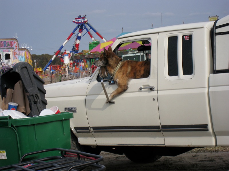 Loading Image