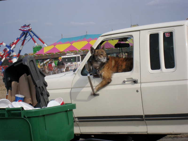 Loading Image