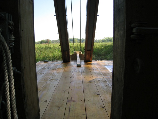 Loading Image